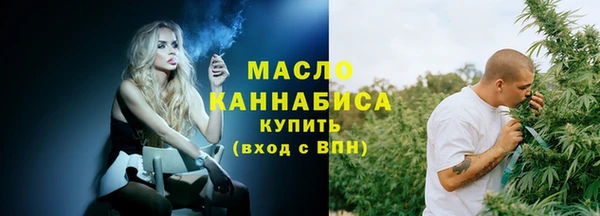 шишки Заводоуковск