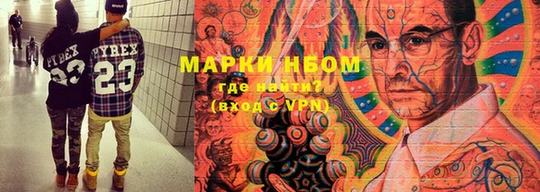 шишки Заводоуковск