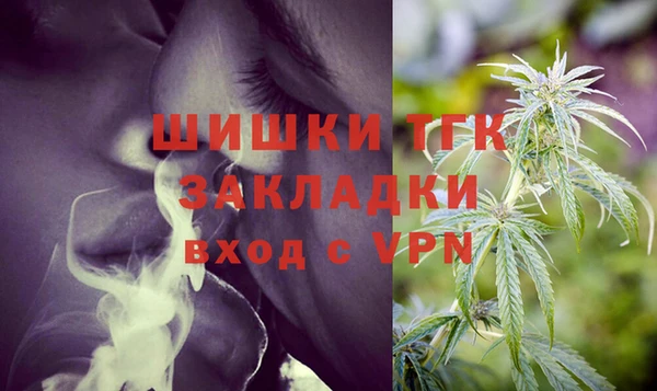 шишки Заводоуковск