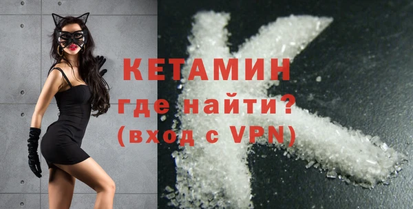 шишки Заводоуковск