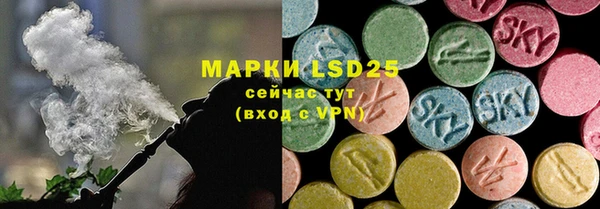 шишки Заводоуковск