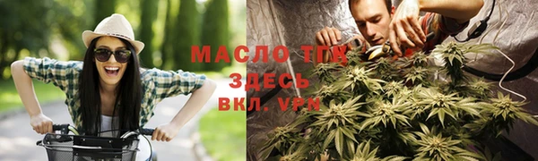 шишки Заводоуковск