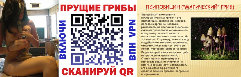 Купить закладки  Кирс  Псилоцибиновые грибы Magic Shrooms 